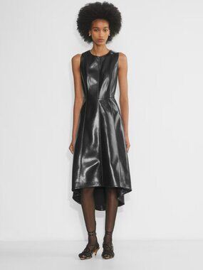 Aritzia Wilfred Belcanto Dress